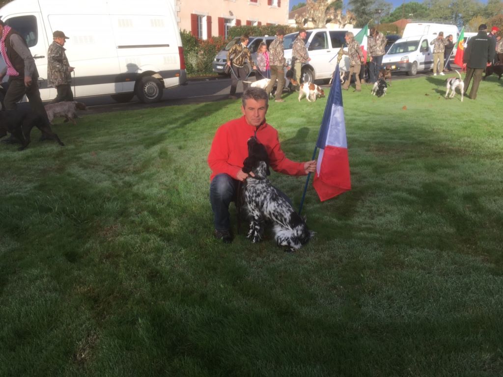 Des Rochers De Faulat - JANGA CHAMPIONNE DE GIBIER TIRE