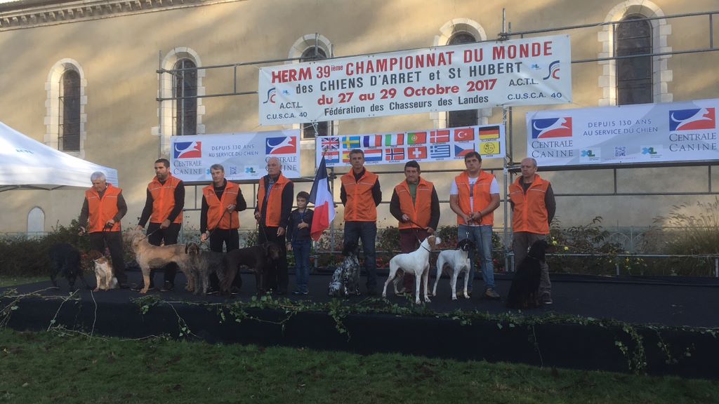 Des Rochers De Faulat - concours Janga c'est parti